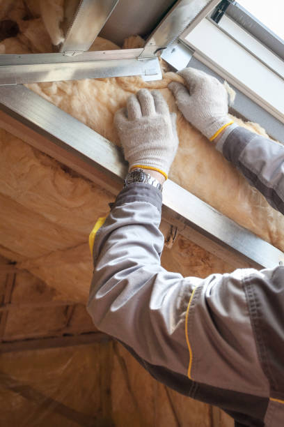 Best Insulation for New Construction  in Sherman, TX