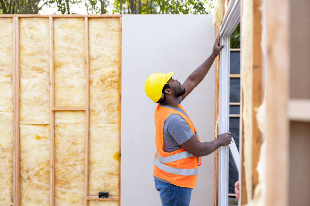 Best Insulation Inspection Services  in Sherman, TX