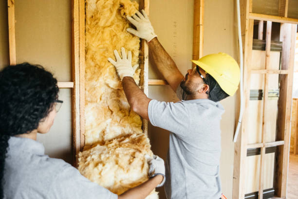 Best Wall Insulation Contractor  in Sherman, TX