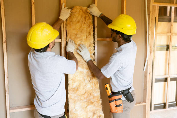Professional Insulation Contractor in Sherman, TX