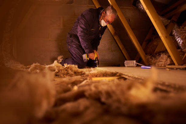Best Crawl Space Insulation  in Sherman, TX
